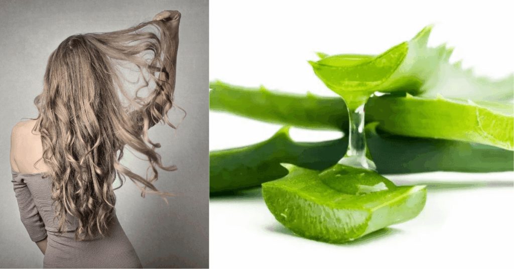 6. Aloe Vera Isn’t Just for Sunburns