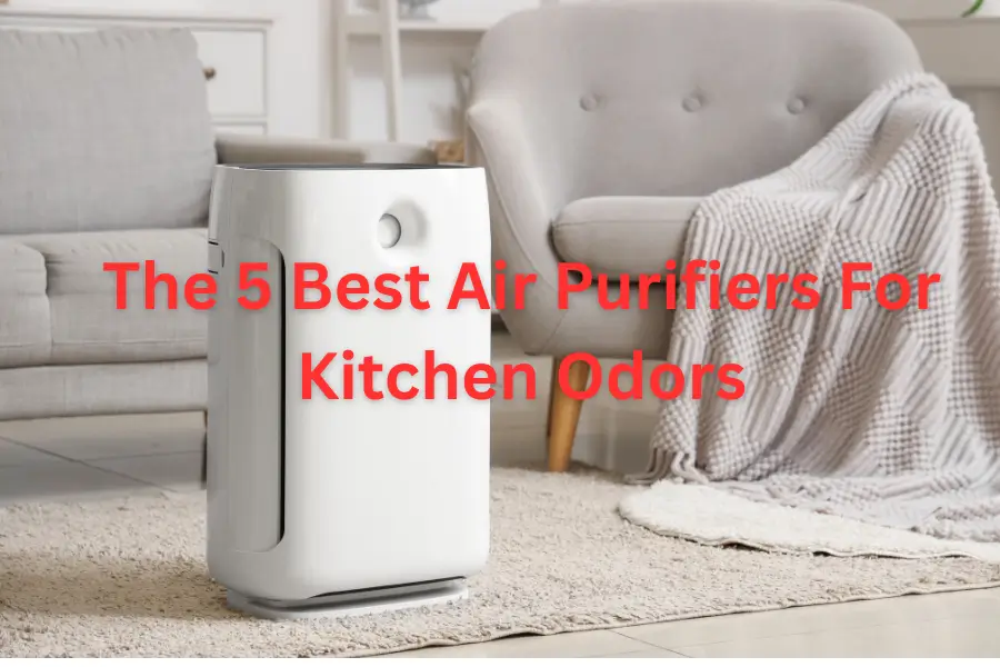 The 5 Best Air Purifiers For Kitchen Odors